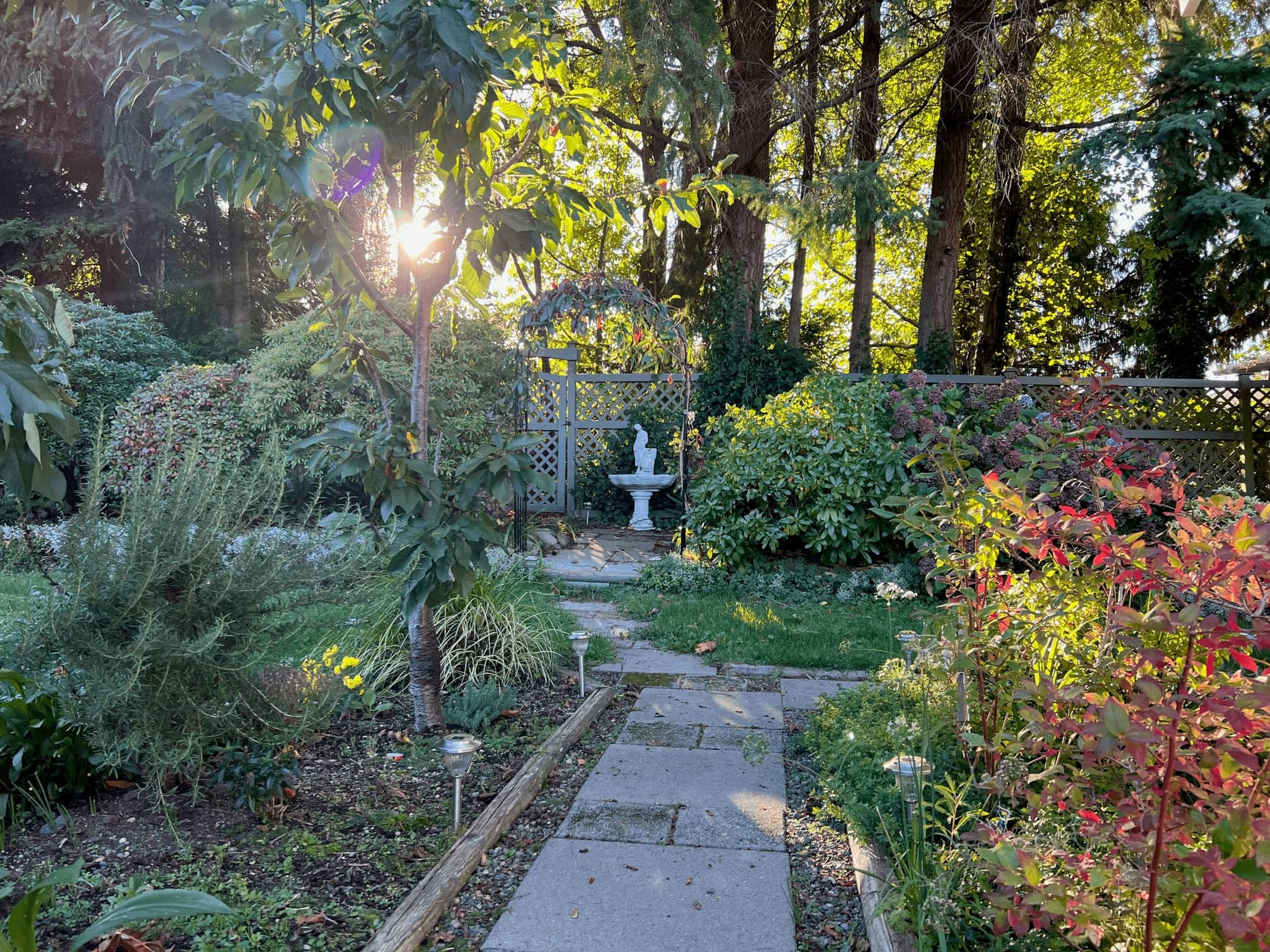 Sunny garden with a stone pathway, shrubs and mature trees