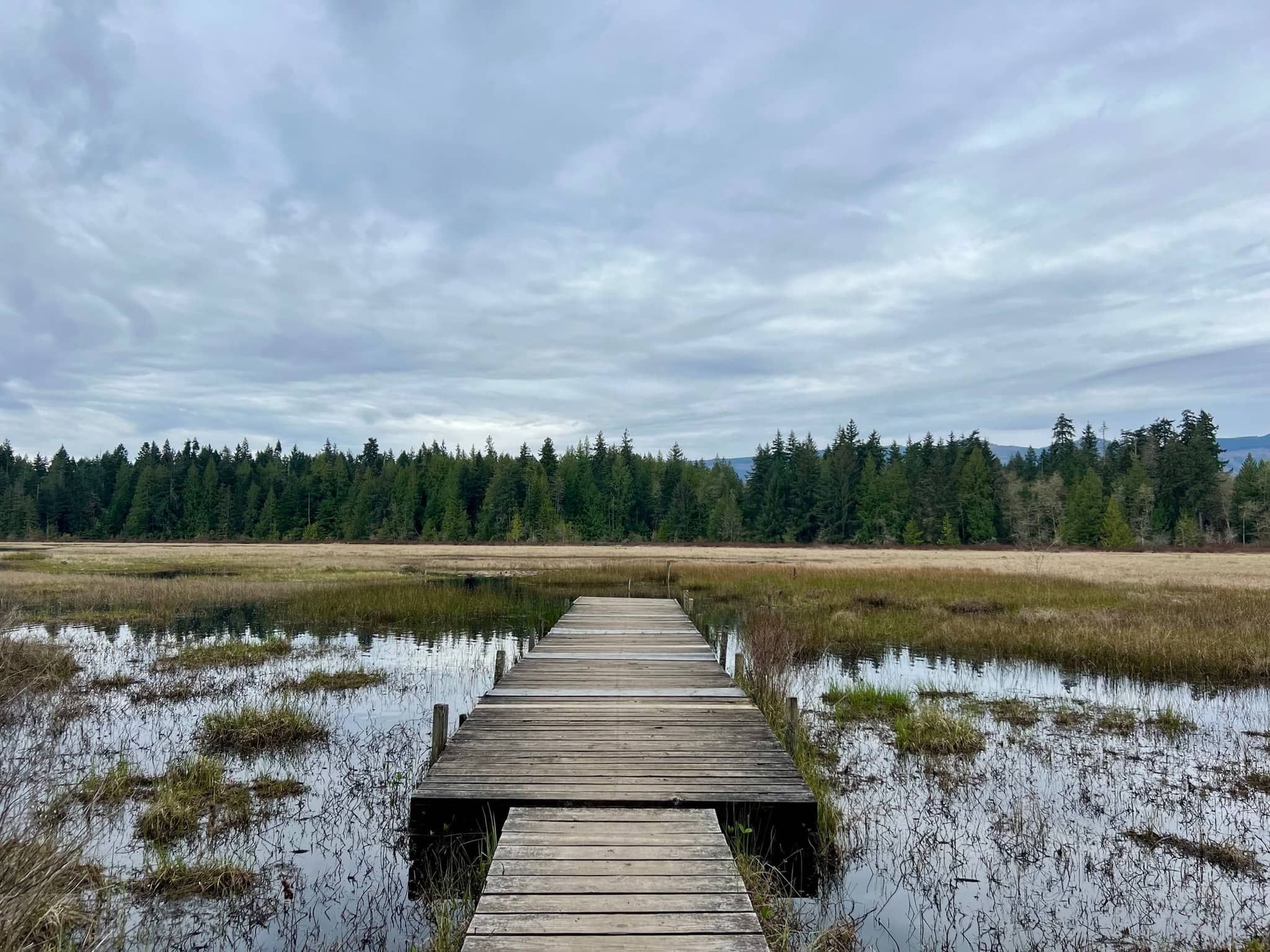 Wooden dock viewpoint over Hamilton Marsh near Qualicum Beach