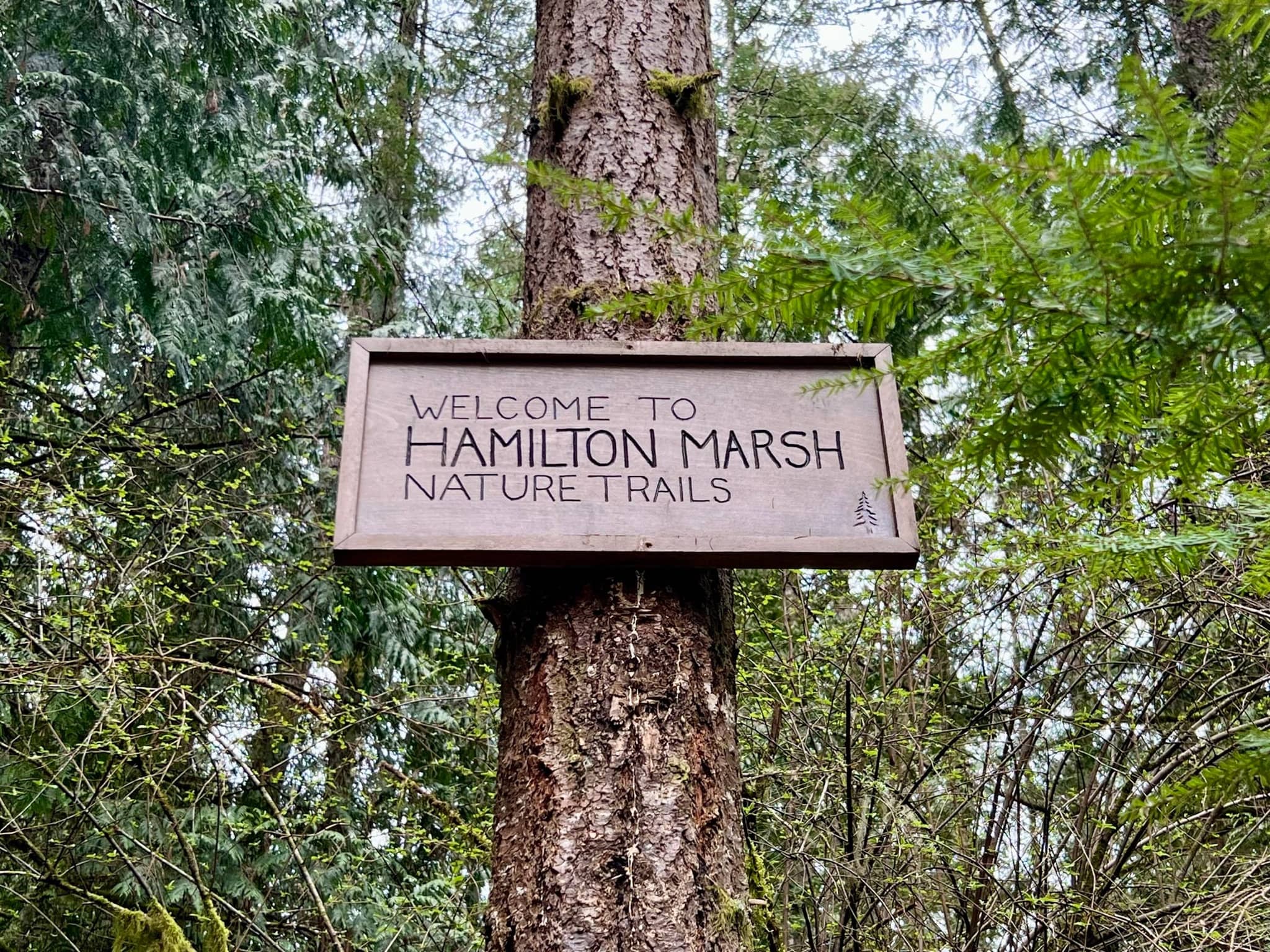 Wooden Hamilton Marsh nature trails sign on a tree trunk in the forest