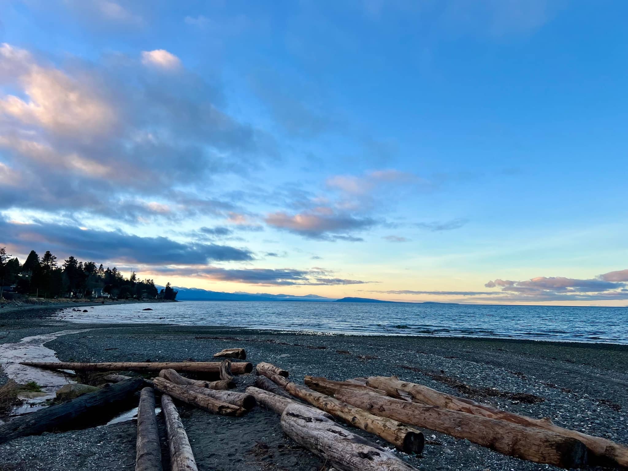 Evening on the Qualicum Beach shoreline with driftwood and calm water